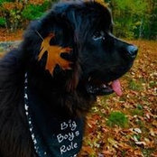 Lisa Schiller's photo