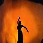 Sheila Marano's photo