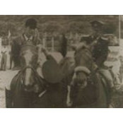 Guillermo Benavides's photo