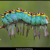 Laura Moore's photo