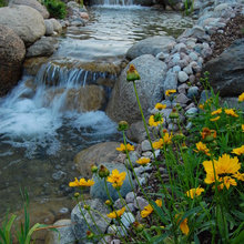 pond