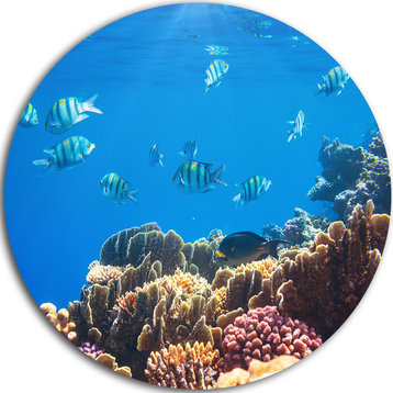 Bright Blue Waters And Coral Fish, Seashore Round Metal Wall Art, 23"