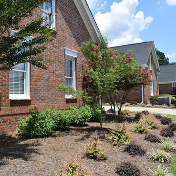 Andrews Landscape