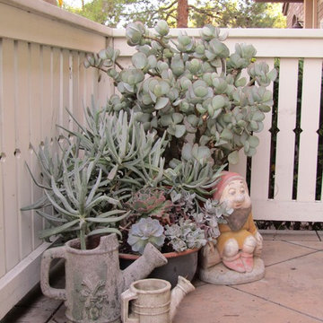 San Diego Garden Staging