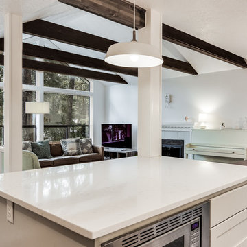 Mid Century Modern Remodel