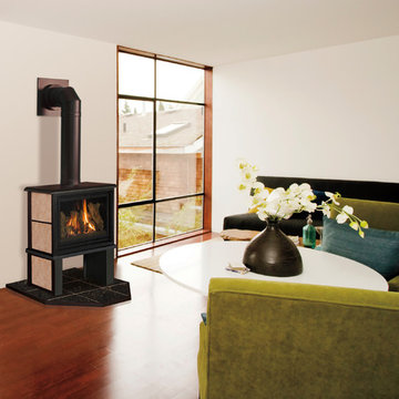 Kozy Heat Direct Vent Fireplaces