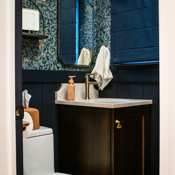 Mt. Prospect Project: Kitchen, Pantry, Bath & Living Room Built-ins