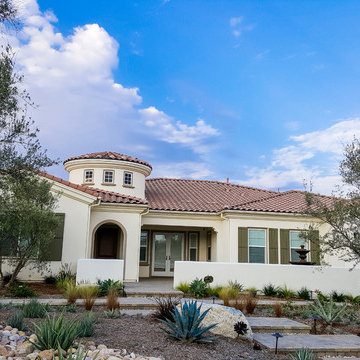 Olive Tree Highlights