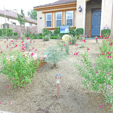 Highland, CA Drought Tolerant Design