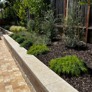 Layered Screen Planting