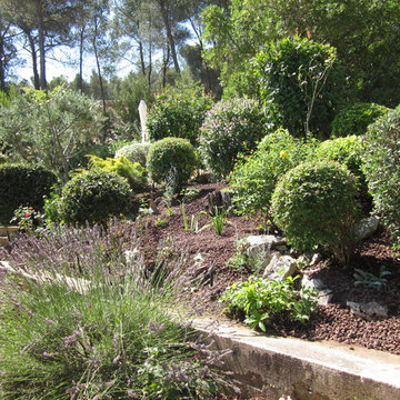 topiaire et provence