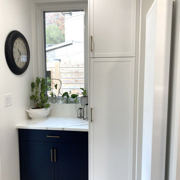 Bloor West Galley Kitchen