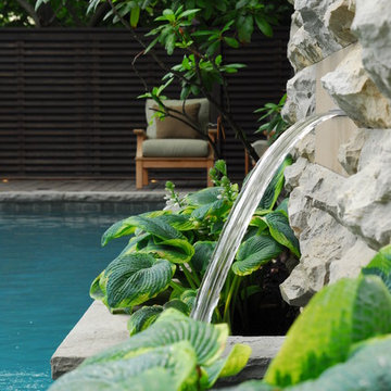 Contemporary Poolscape