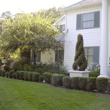 Polished Colonial