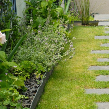 2014 - Jardin romantique - Angers (49)