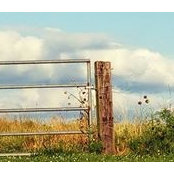 Amber Elliott Cox's photo