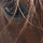 sandy_johnson6799