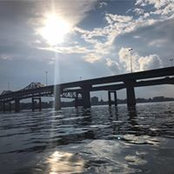 Amy Johnston's photo