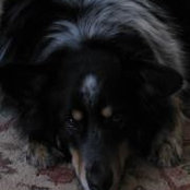 Brenda Woosley's photo