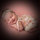Desiree Sonneson