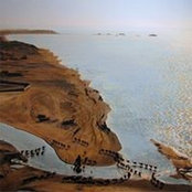 Hen Salomon's photo