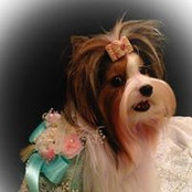 Kelly Waltzer's photo