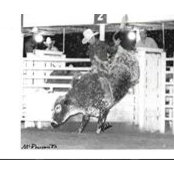 Jason Smiths billede