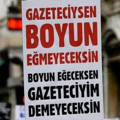 pitayamersin