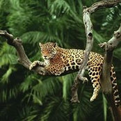 Foto von Felix Rodriguez