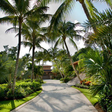 TROPICAL TAHITIAN