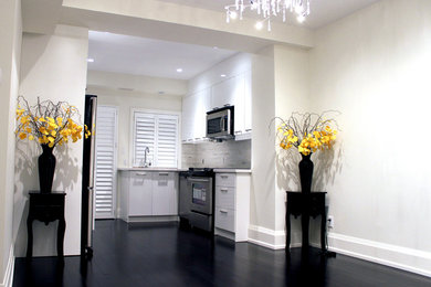 Kitchen - contemporary kitchen idea in Toronto