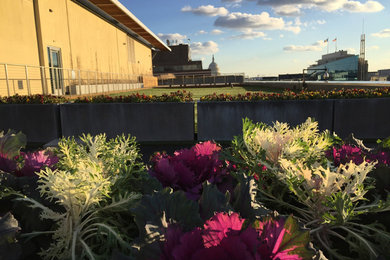 Inspiration for a landscaping in Other.