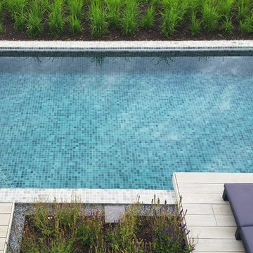 A Modern Rural Garden