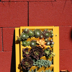Succulent Wall for Del Mar Home Garden Show 2012 - Outdoor Pots And Planters