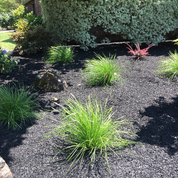 South Petaluma Front and Backyard