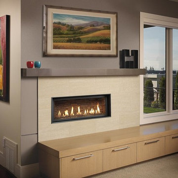 Fireplace Xtrordinair