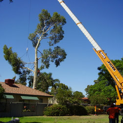 Tree removal project - Products