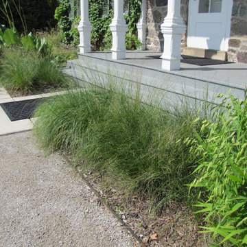 Native Perennial Gardens