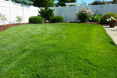 Photo of a mid-sized transitional backyard mulch landscaping in Houston.