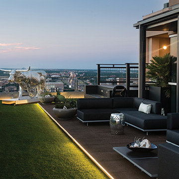 Rooftop Haven