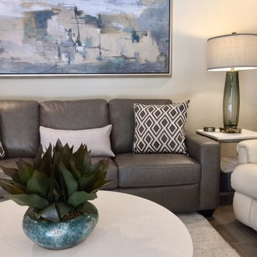 Phoenix Home Remodel