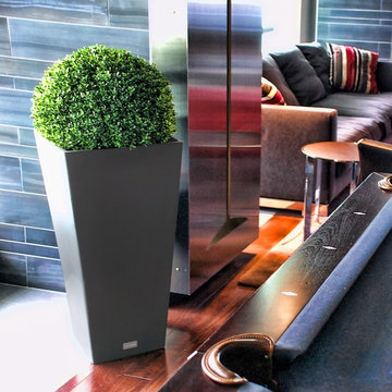Pure Series - Midland Tall