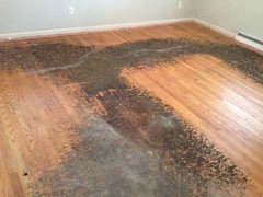 How To Remove Residue From Under Carpet