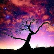 Stephanie Littell's photo