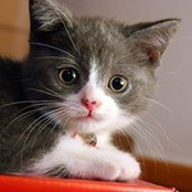 Miggy Reed's photo