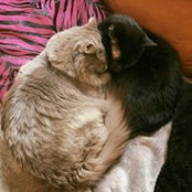 Christine Skarulis's photo