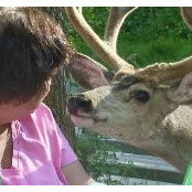 Photo de Karen Schindler Bialik