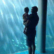 Martin Roy's photo