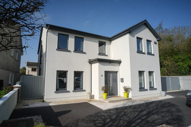 Trendy home design photo in Limerick