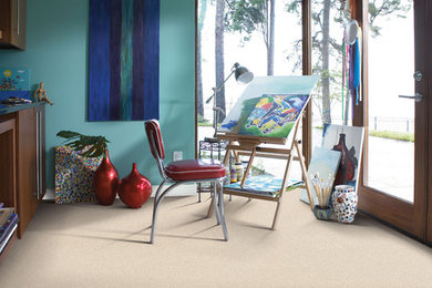 Living room - contemporary carpeted living room idea in Boston